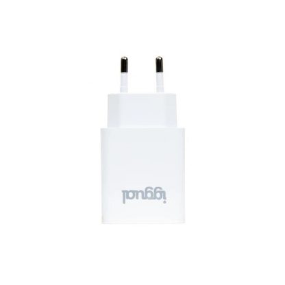 iggual Cargador de pared 1xUSB 5V/2.4A (12W)